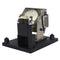 Boxlight LTPRPRO4500DPLAMP2POS