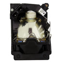 Liesegang LTOHZU0214044010PPH Philips FP Lamps with Housing
