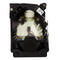 Liesegang LTOHZU0214044010PPH Philips FP Lamps with Housing