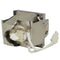 Viewsonic LTOHPJD6352POS Philips FP Lamps with Housing