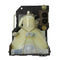 Sharp LTOHCLMPF0057DE01PUSH Ushio FP Lamps with Housing