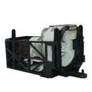 Toshiba LTOHTLPLT1APPX Phoenix FP Lamps with Housing