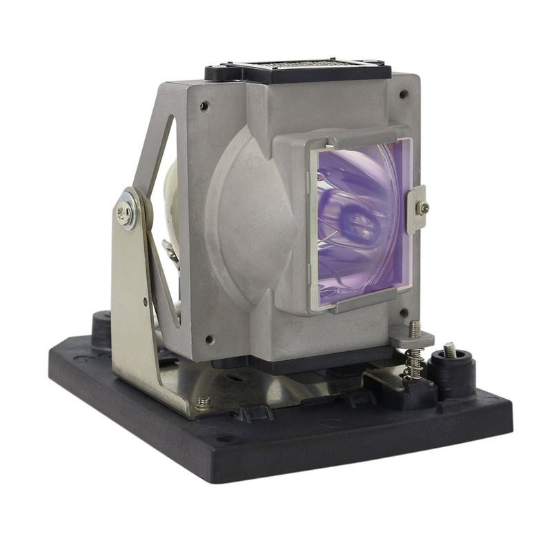 Vivitek LTOH1000042APPH Philips FP Lamps with Housing