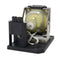 Vivitek LTOH1000042APPH Philips FP Lamps with Housing