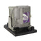 Eiki LTOHAH50001PPH Philips FP Lamps with Housing