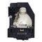NEC LTOHNP500PPH Philips FP Lamps with Housing