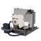 Toshiba LTPRTLPLP20POS