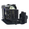 Panasonic LTOHETSLMP102POS Osram FP Lamps with Housing