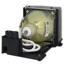 Optoma LTPRBLFU250DPPH