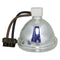 Toshiba LTOB50HM66PPX Phoenix TV Lamps Bare