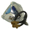 Panasonic LTOBPT44LCX65PPH Philips TV Lamps Bare