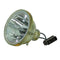 Toshiba LTOBD95LMPPUSH Ushio TV Lamps Bare