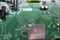 LTMKIT-Hisense-32H4030F1-2382