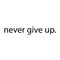 Never Give Up.. Over the Door Vinyl Wall Decal Sticker Art Black 2.7" x 18" 4