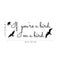 If You’re a Bird I’m a Bird The Notebook Quote - Vinyl Wall Decal Sticker Art - 30" x 11" Inspirational Quote Wall Art Vinyl Decal - Living Room Motivational Wall Art Decal - Life Quote Vinyl Sticker Black 30" x 11" 5