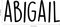 Vinyl Wall Art Decal Girls Custom Name - 'ABIGAIL' Custom Text Name - Girls Bedroom Vinyl Wall Decals - Cute Wall Art Decals for Baby Girl Nursery Room Decor   3
