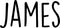 Vinyl Wall Art Decal Boys Custom Name - ’James’ Custom Text Name - 12" x 29" - Little Boys Bedroom Vinyl Wall Decals - Cute Wall Art Decals for Baby Boy Nursery Room Decor (12" x 29"; Black Text) Black 12" x 29" 4
