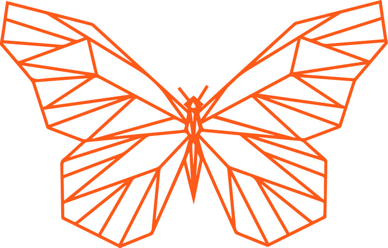 Vinyl Wall Art Decal - Geometric Butterfly Outline - 23" x 36" - Home Decor Sticker Decals - Living Room Bedroom Nursery Playroom (23" x 36"; Orange) Orange 23" x 36" 4