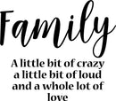 Vinyl Wall Art Decal - Family A Little Bit of Crazy A Little Bit of Loud and A Whole Lot of Love - 20" x 23" - Household Decoration Living Room Indoor Outdoor Sticker Wall Decals for Home Decor Black 20" x 23"