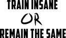 Vinyl Wall Art Decal - Train Insane Or Remain The Same - 23" x 40" - Insprational Gym Quote Sticker Decals Fitness Athletics Sticker Adhesive Signs Black 23" x 40"