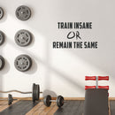 Vinyl Wall Art Decal - Train Insane Or Remain The Same - 23" x 40" - Insprational Gym Quote Sticker Decals Fitness Athletics Sticker Adhesive Signs Black 23" x 40" 2