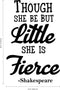 Vinyl Wall Art Decal - Though She Be But Little She is Fierce - 36" x 23" - Inspirational Shakespeare Sticker Adhesives - Trendy Bedroom Living Room Office Wall Art Decals Black 36" x 23" 4