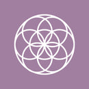 Vinyl Wall Art Decal - Seed of Life Circle Pattern - 23" x 23" - Modern Sacred Geometry for Home Dorm Room Workplace Use - Trendy Flower of Life Apartment Bedroom Living Room Decor (23" x 23"; White) White 23" x 23" 2