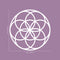 Vinyl Wall Art Decal - Seed of Life Circle Pattern - 23" x 23" - Modern Sacred Geometry for Home Dorm Room Workplace Use - Trendy Flower of Life Apartment Bedroom Living Room Decor (23" x 23"; White) White 23" x 23" 3