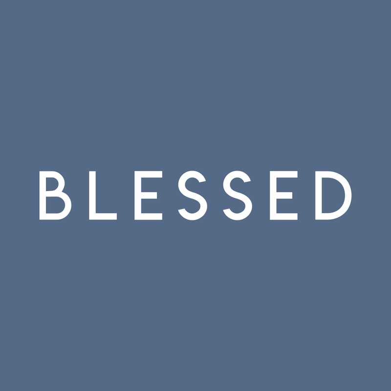 Vinyl Wall Art Decal - Blessed - 3.5" x 22" - Modern Inspirational Gratitude Quote For Home Bedroom Living Room School Office Workplace Decoration Sticker White 3.5" x 22"