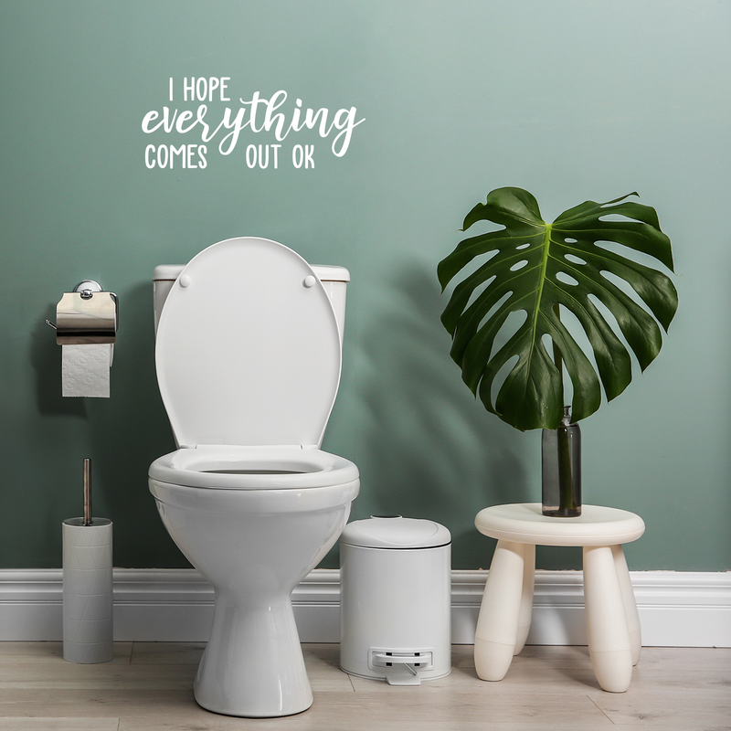 Vinyl Wall Art Decal - I Hope Everything Comes Out Ok - 9" x 22" - Modern Funny Sarcastic Quote For Home Bedroom Bathroom Restroom  School Decoration Sticker White 9" x 22" 5