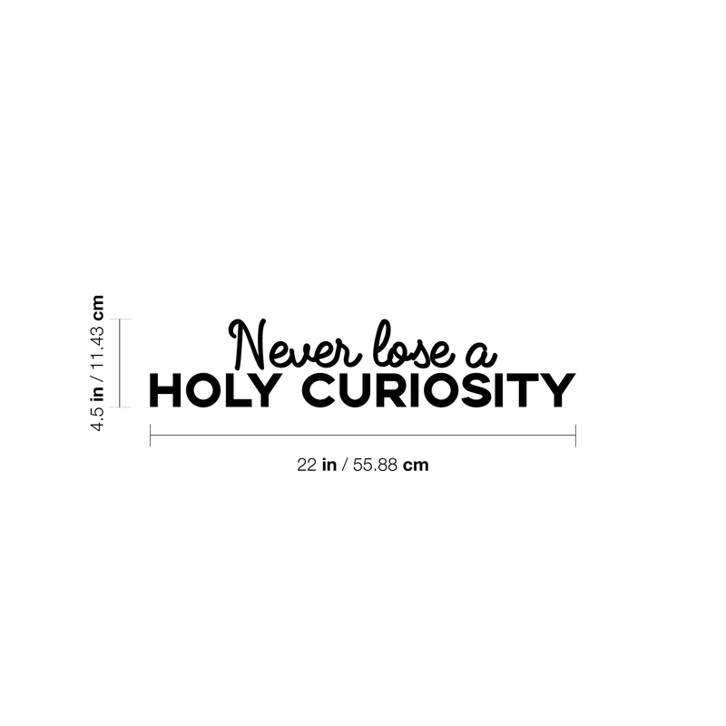 Vinyl Wall Art Decal - Never Lose A Holy Curiosity - 4.5" x 22" - Inspirational Sticker Albert Einstein Quote For Home Bedroom Living Room Coffee Shop Work Office Decor Black 4.5" x 22"
