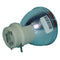 Dell LTOB3306183POS Osram FP Lamps Bare