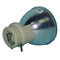 Viewsonic LTOBRLC061POS Osram FP Lamps Bare