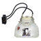 Epson LTOBPowerLiteX14POS Osram FP Lamps Bare