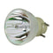 Viewsonic LTOBRLC072PPH Philips FP Lamps Bare