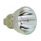 Optoma LTOBS310xPPH Philips FP Lamps Bare