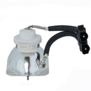 NOBO LTOBSP80Y01001PUSH Ushio FP Lamps Bare