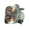 Ushio LTOBNSH160APUSH Ushio FP Lamps Bare
