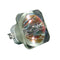 Ushio LTOBNSH160APUSH Ushio FP Lamps Bare