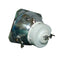 Ushio LTOBNSH160APUSH Ushio FP Lamps Bare