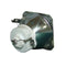 Ushio LTOBNSH160APUSH Ushio FP Lamps Bare