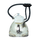 Mitsubishi LTOBVLTXD3200LPPUSH Ushio FP Lamps Bare