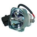 Mitsubishi LTOBVLTXD430LPPUSH Ushio FP Lamps Bare