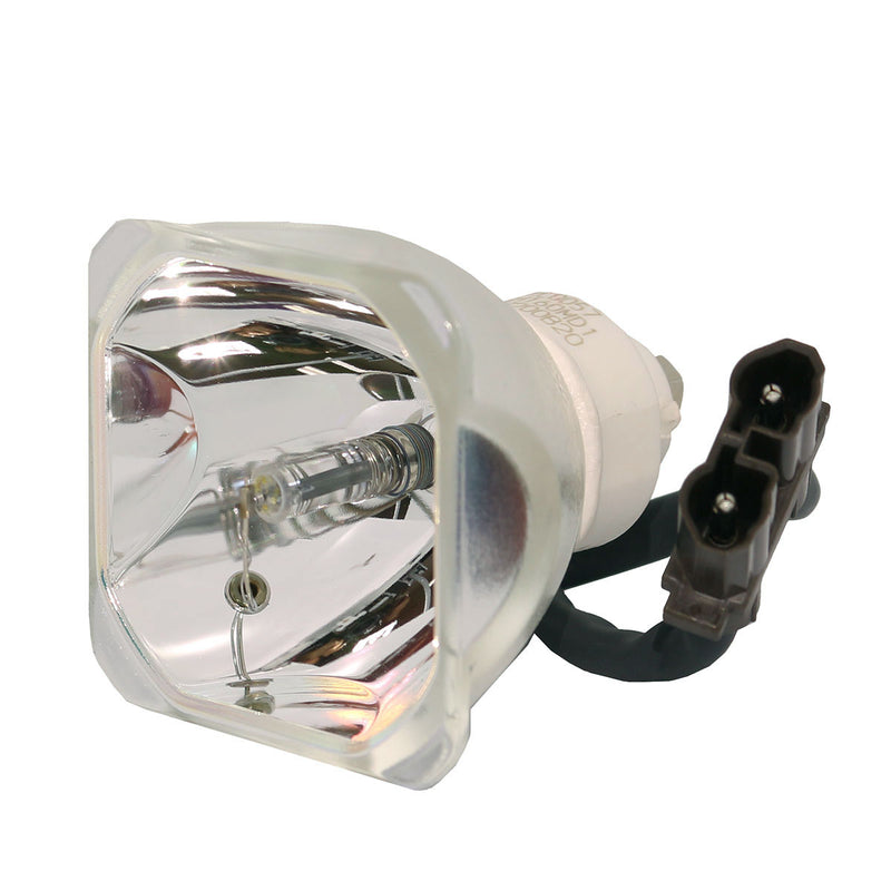 Mitsubishi LTOBVLTHC4900LPPUSH Ushio FP Lamps Bare