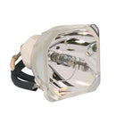 Mitsubishi LTOBVLTHC4900LPPUSH Ushio FP Lamps Bare