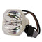 Epson LTOBELPLP40PUSH Ushio FP Lamps Bare