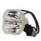 Ushio LTOBNSHA210PPUSH Ushio FP Lamps Bare