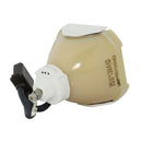 Polaroid LTOBPV235PUSH Ushio FP Lamps Bare