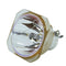 NEC LTOBNP21LPPUSH Ushio FP Lamps Bare
