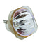 NEC LTOBNP21LPPUSH Ushio FP Lamps Bare